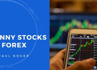 penny stock vs. forex